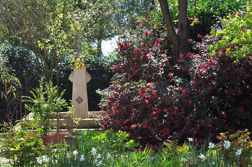 Arboretum Neuenkoop - Het Tuinpad Op / In Nachbars Garten