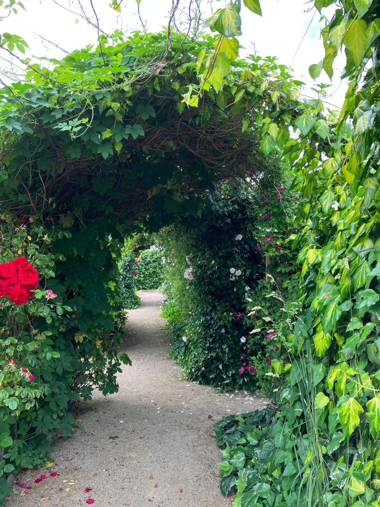 De Cleyne Hortus - Het Tuinpad Op / In Nachbars Garten