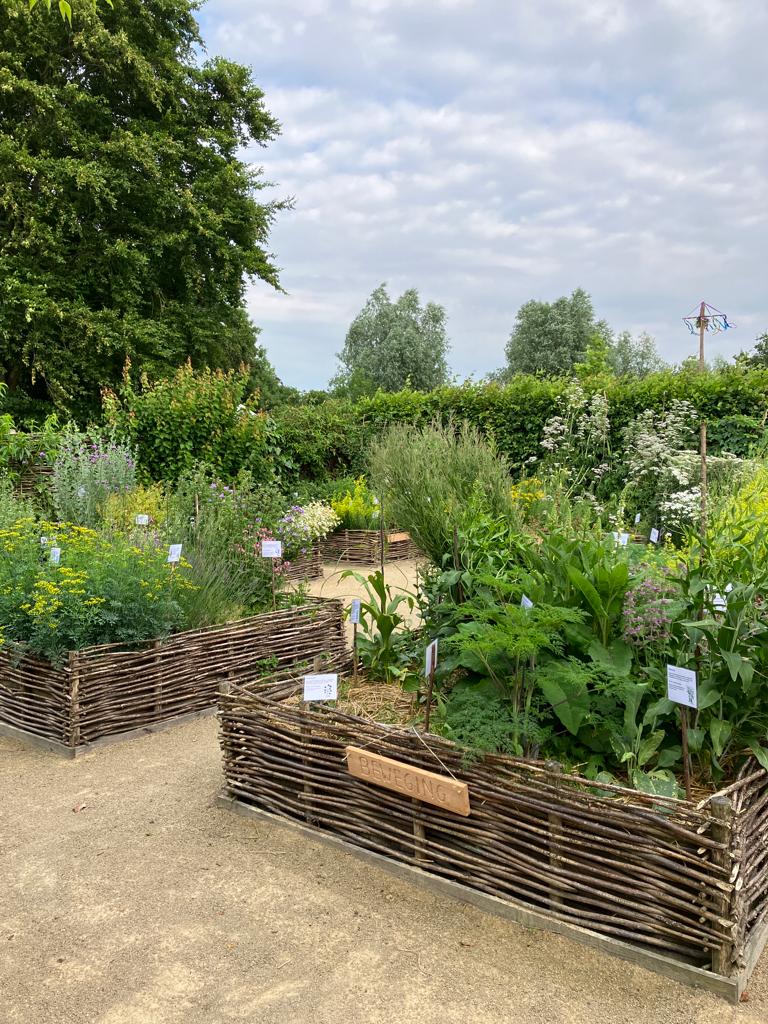 De Cleyne Hortus - Het Tuinpad Op / In Nachbars Garten