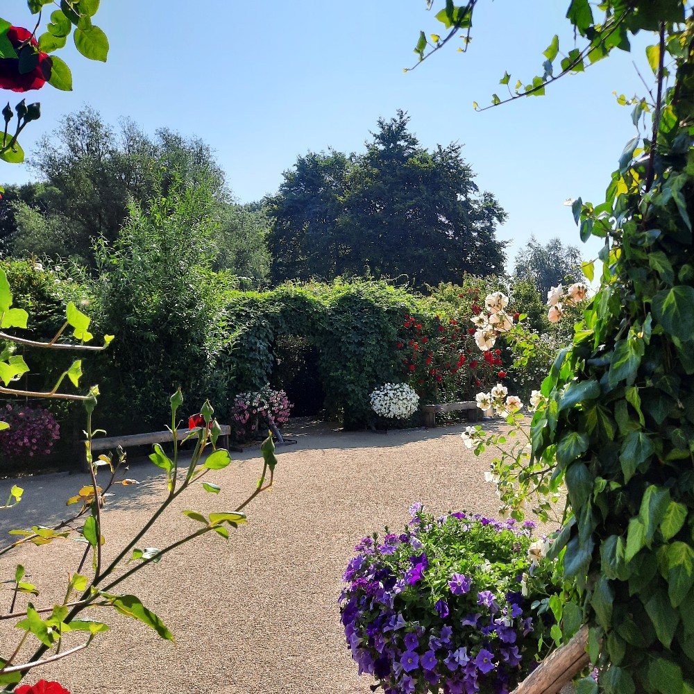 De Cleyne Hortus - Het Tuinpad Op / In Nachbars Garten