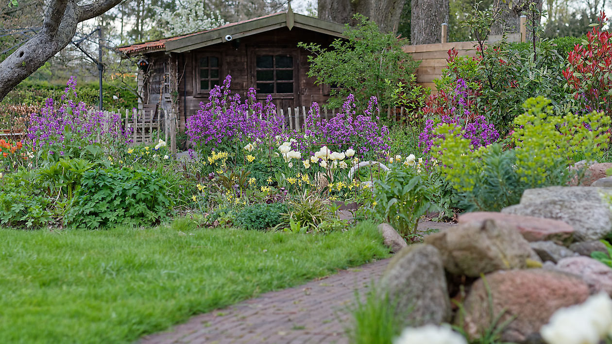 BlommenTuin - Het Tuinpad Op / In Nachbars Garten