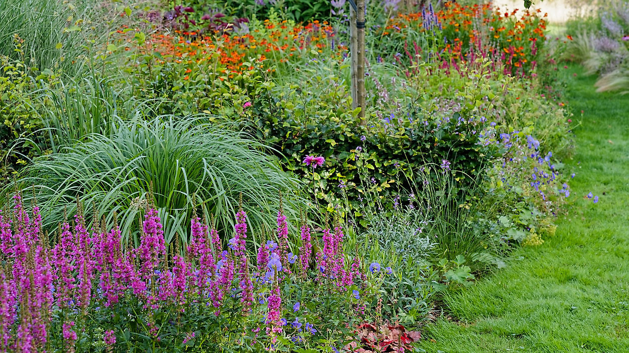 BlommenTuin - Het Tuinpad Op / In Nachbars Garten