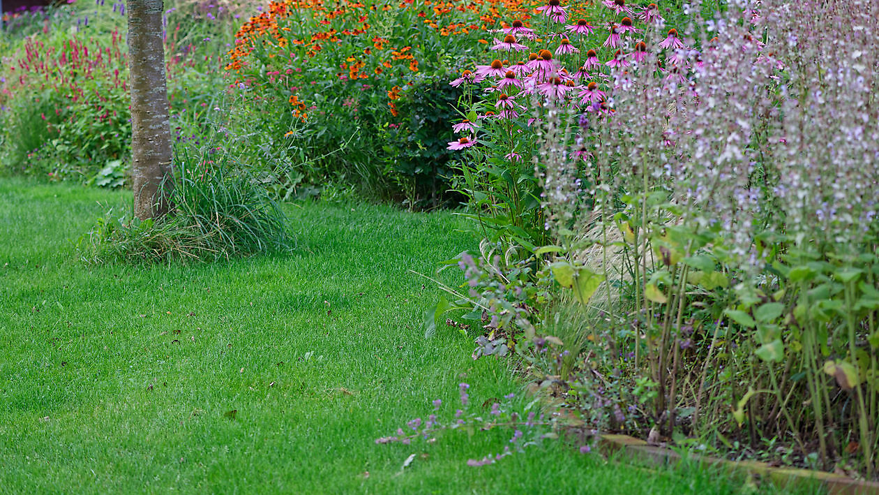 BlommenTuin - Het Tuinpad Op / In Nachbars Garten