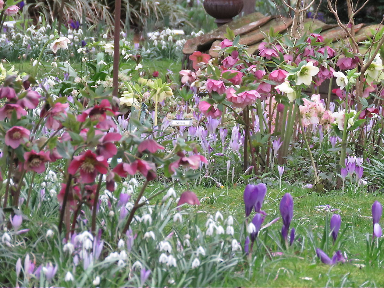 Landidyll Familie Tjarks - Het Tuinpad Op / In Nachbars Garten