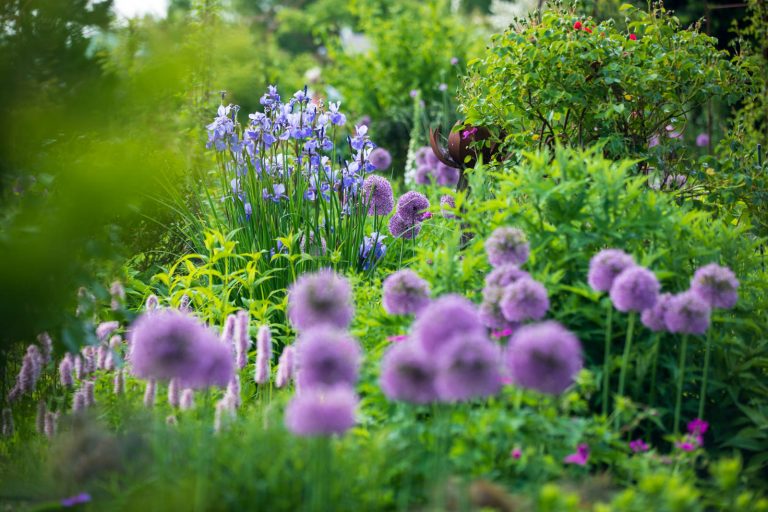 Landidyll Familie Tjarks - Het Tuinpad Op / In Nachbars Garten