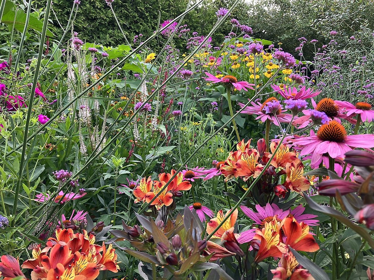 Landidyll Familie Tjarks - Het Tuinpad Op / In Nachbars Garten