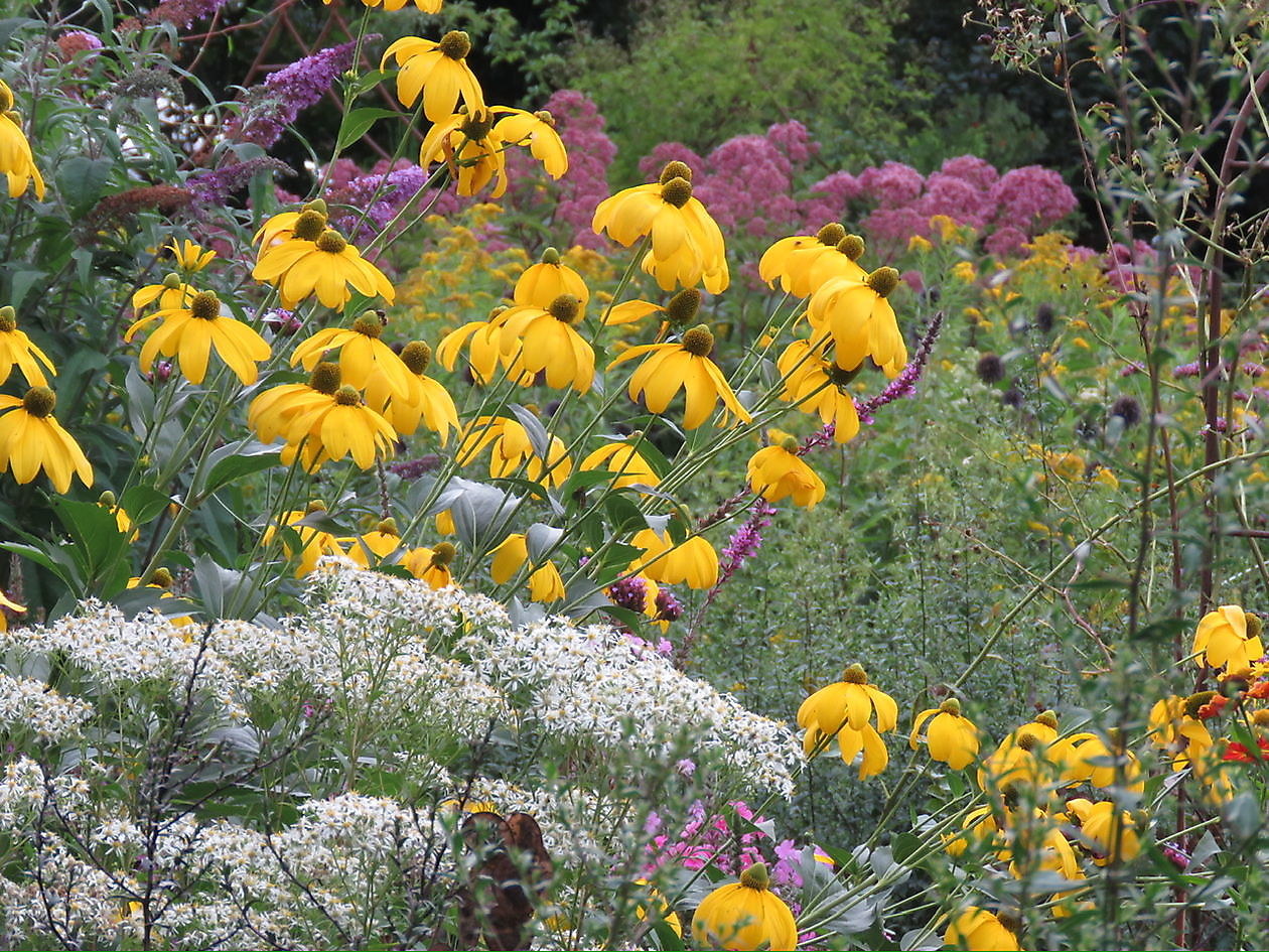 Landidyll Familie Tjarks - Het Tuinpad Op / In Nachbars Garten