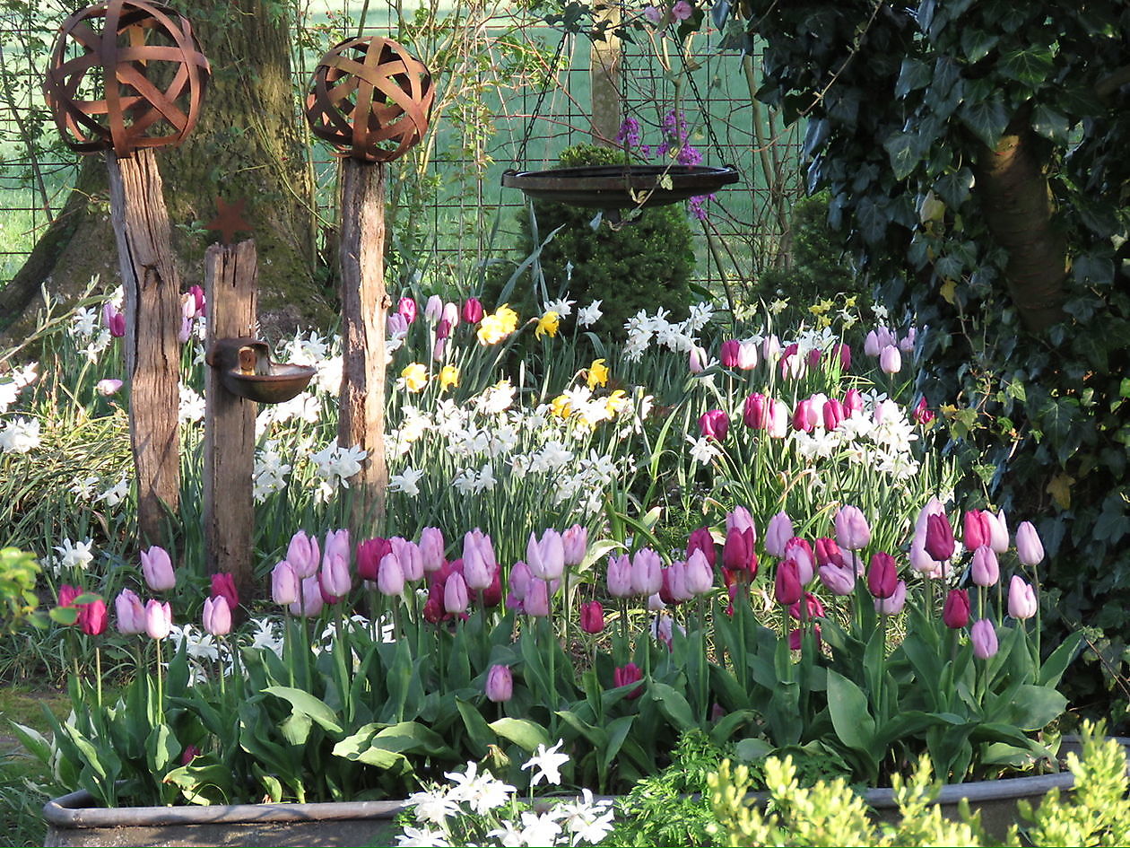 Landidyll Familie Tjarks - Het Tuinpad Op / In Nachbars Garten