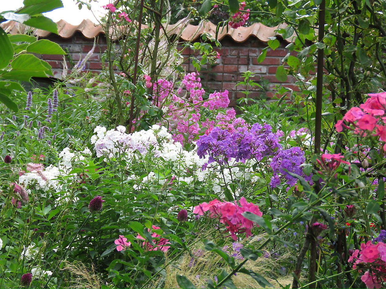 Landidyll Familie Tjarks - Het Tuinpad Op / In Nachbars Garten