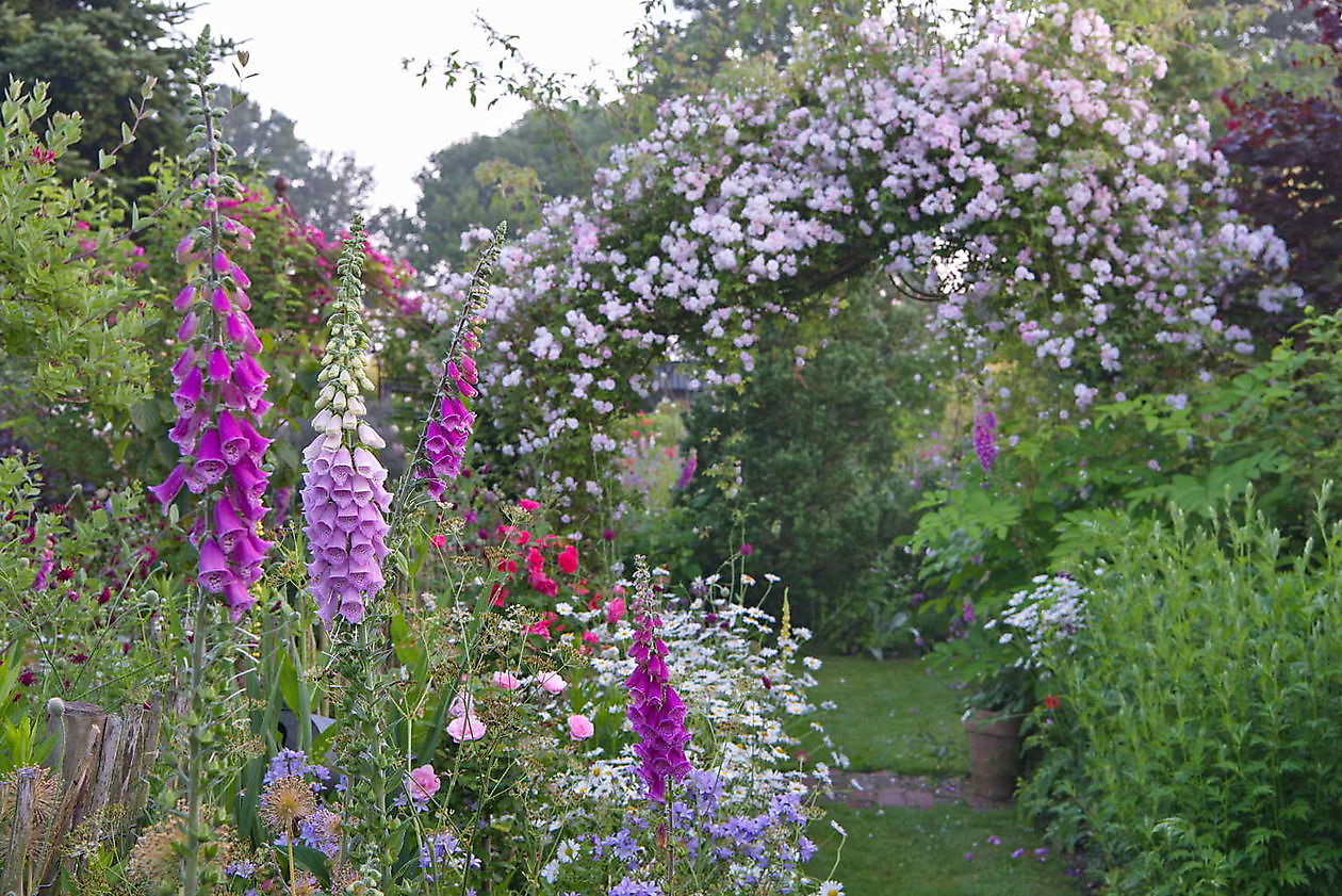 Landidyll Familie Tjarks - Het Tuinpad Op / In Nachbars Garten