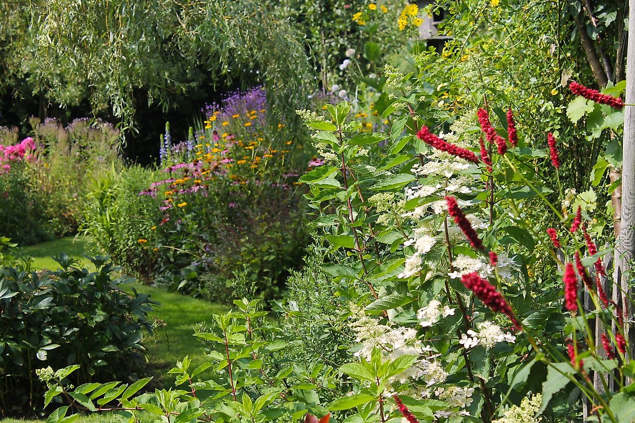 De Hoofdmeesterstuin - Het Tuinpad Op / In Nachbars Garten