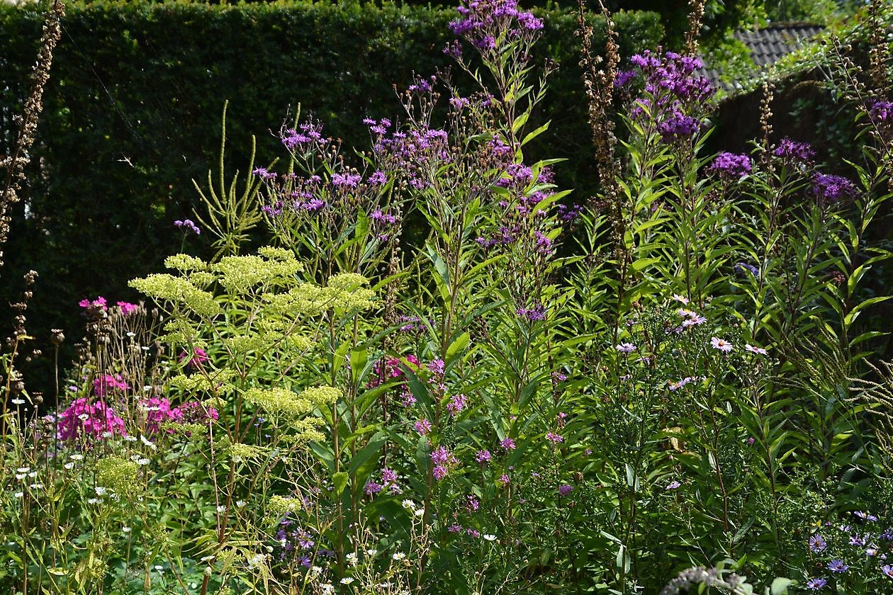Imke’s tuin - Het Tuinpad Op / In Nachbars Garten