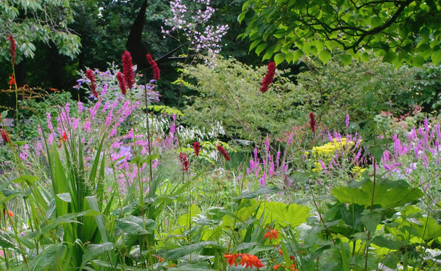 Tuin Marie-José Tepe - Het Tuinpad Op / In Nachbars Garten