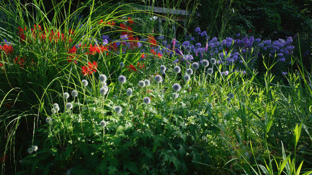Tuin Marie-José Tepe - Het Tuinpad Op / In Nachbars Garten
