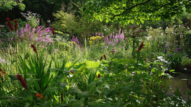 Tuin Marie-José Tepe - Het Tuinpad Op / In Nachbars Garten