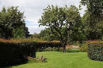 Hortus Haren - Het Tuinpad Op / In Nachbars Garten