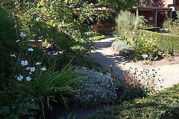 Bibelgarten Werlte - Het Tuinpad Op / In Nachbars Garten