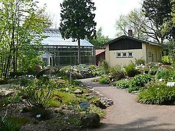 Botanischer Garten Oldenburg - Het Tuinpad Op / In Nachbars Garten