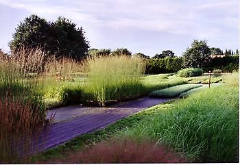 Kwekerij Mühring - Het Tuinpad Op / In Nachbars Garten