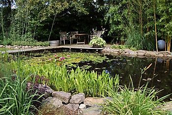 Kwekerij Mühring - Het Tuinpad Op / In Nachbars Garten