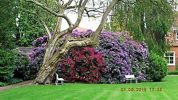 Pfarrgarten St. Andreas - Het Tuinpad Op / In Nachbars Garten