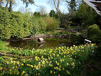 Naturgarten Naschke - Het Tuinpad Op / In Nachbars Garten