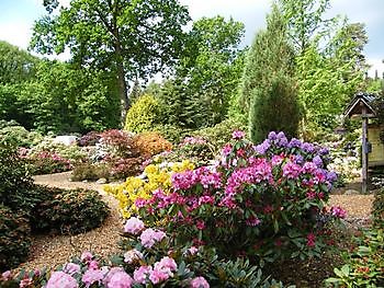 Farbenrausch im Blütenmeer -  Hobbie Rhododendronpark - Het Tuinpad Op / In Nachbars Garten