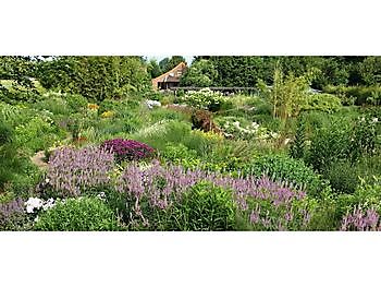 Kwekerij Jacobs - Het Tuinpad Op / In Nachbars Garten