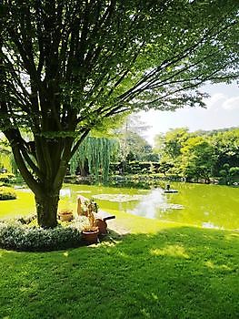 Tuin van Johannes & Anne Rolfes - Het Tuinpad Op / In Nachbars Garten