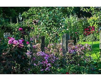 Bloemakkershof - Het Tuinpad Op / In Nachbars Garten