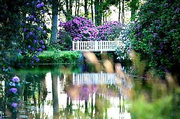 Lütetsburger Schlosspark - Het Tuinpad Op / In Nachbars Garten