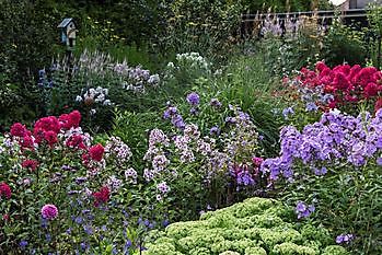 Garten Stolle - Het Tuinpad Op / In Nachbars Garten