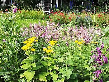 Tuin Meyer - Het Tuinpad Op / In Nachbars Garten