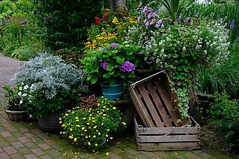 De Hoofdmeesterstuin - Het Tuinpad Op / In Nachbars Garten