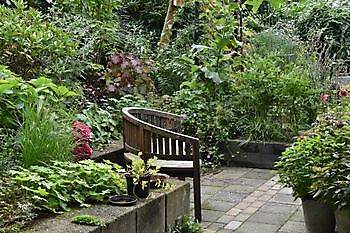 De Uilenborg - Het Tuinpad Op / In Nachbars Garten