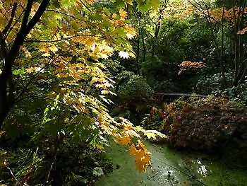 Garten der Stille - Het Tuinpad Op / In Nachbars Garten