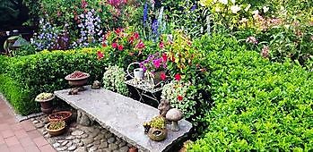 Bijentuin Grape - Het Tuinpad Op / In Nachbars Garten