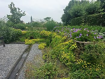 De Paauw Tuin van Adorp - Het Tuinpad Op / In Nachbars Garten
