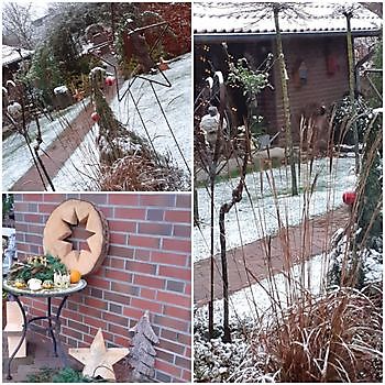 Droomtuin - Het Tuinpad Op / In Nachbars Garten