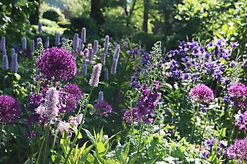 Garten beim Holze - Het Tuinpad Op / In Nachbars Garten