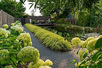 Friese Patiotuin - Het Tuinpad Op / In Nachbars Garten