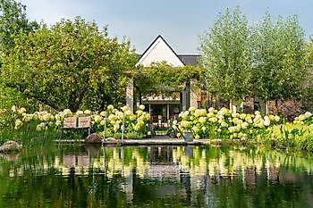 Friesischer Patiogarten - Het Tuinpad Op / In Nachbars Garten