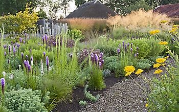 Lianne’s Siergrassen - Het Tuinpad Op / In Nachbars Garten