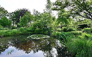 ‘t Vlijtig Loesje (die fleissige Loesje) - Het Tuinpad Op / In Nachbars Garten