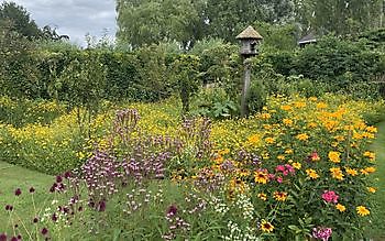 Der Garten des Schulleiters - Het Tuinpad Op / In Nachbars Garten