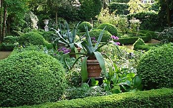 Bijma & Jeltema - Het Tuinpad Op / In Nachbars Garten