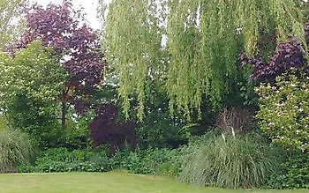 Meerstadtuin - Het Tuinpad Op / In Nachbars Garten