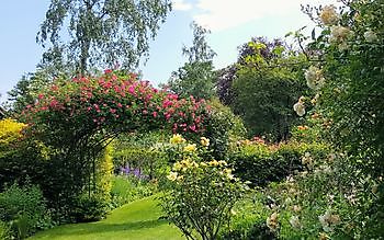 De Tuin van Anneke van Apeldoorn - Het Tuinpad Op / In Nachbars Garten