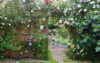 Roos van Hijken - Het Tuinpad Op / In Nachbars Garten