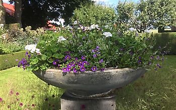 De Woldtuin - Het Tuinpad Op / In Nachbars Garten